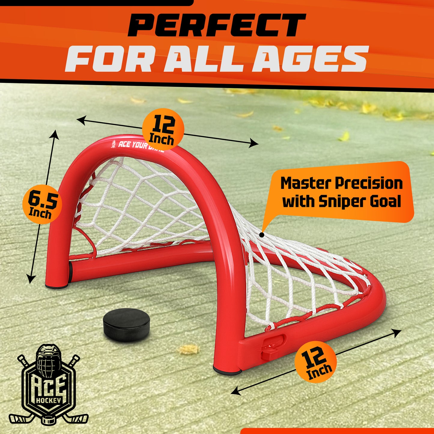 ACE HOCKEY - SNIPER GOAL - 12" METAL HOCKEY GOAL - FOLDABLE