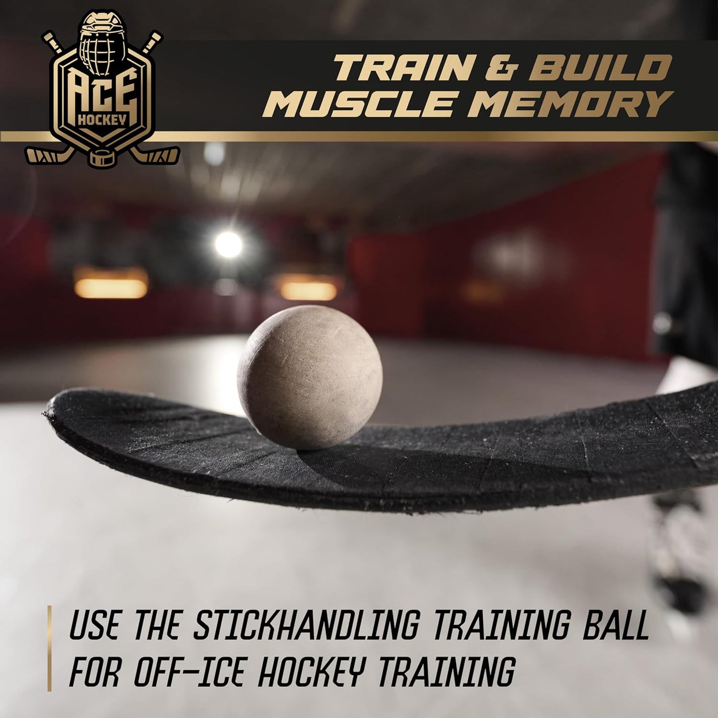 ACE HOCKEY SWEDISH STICKHANDLING BALLS